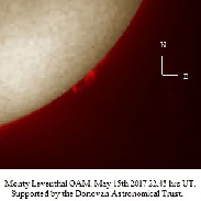 <font class="tempImageTitleThumbText">Prominence</font><br>Monty Leventhal OAM<br>May 16 7:41am<br>Sydney. Australia