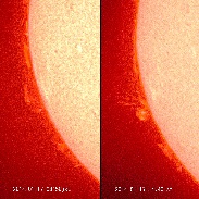 <font class="tempImageTitleThumbText">Prominence, Jan.17</font><br>masa nakamura<br>Jan 17 6:40am<br>At the eastern limb, we could e
