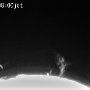 <font class="tempImageTitleThumbText">Sunspots + Prominences May 8th</font><br>masa nakamura<br>May 8 7:57am<br>Otawara, TOchigi, Japan