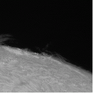 <font class="tempImageTitleThumbText">Surge Prominences At AR4079</font><br>Neo<br>May 11 7:49pm<br>the Netherlands