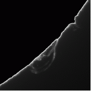 <font class="tempImageTitleThumbText">Looping Prominences</font><br>Neo<br>May 5 11:13am<br>the Netherlands