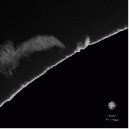 <font class="tempImageTitleThumbText">Quiescent Prominences</font><br>Neo<br>Apr 8 7:26pm<br>the Netherlands