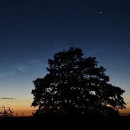 <font class="tempImageTitleThumbText">Noctilucent Clouds</font><br>Nigel Wood<br>Jul 3 10:57am<br>Langar, Nottinghamshire, UK