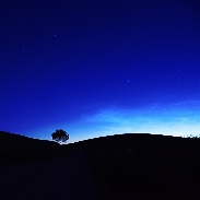 <font class="tempImageTitleThumbText">Noctilucent Clouds</font><br>Nightbird<br>Jun 24 3:15pm<br>Bystry, Masuria, Poland