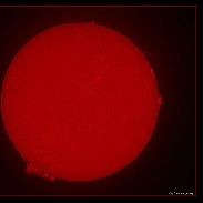 <font class="tempImageTitleThumbText">Huge Sprouting Prominence</font><br>Noeleen Lowndes<br>Apr 24 2:12pm<br>Gold Coast Qld Australia