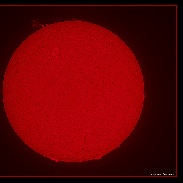 <font class="tempImageTitleThumbText">~ Delicate Prominence ~</font><br>Noeleen Lowndes<br>Feb 13 3:15am<br>Gold Coast QLD Australia