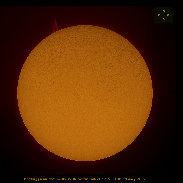 <font class="tempImageTitleThumbText">~ Tongues Of Fire Prom ~</font><br>Noeleen Lowndes<br>Feb 20 5:28am<br>Gold Coast Qld Australia