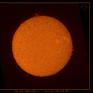 <font class="tempImageTitleThumbText">Active Prominences </font><br>Noeleen Lowndes<br>May 12 2:10pm<br>Gold Coast Qld Australia