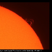 <font class="tempImageTitleThumbText">Magnificent Looped Prominence </font><br>Noeleen Lowndes<br>Sep 11 9:23am<br>Gold Coast QLD Australia
