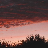 <font class="tempImageTitleThumbText">Conjunction Of Venus And Jupiter</font><br>Norman Carlson<br>Nov 13 3:01pm<br>Tucson, AZ