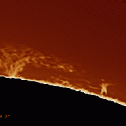 <font class="tempImageTitleThumbText">Solar Prominences</font><br>ofer gabzo<br>Jan 8 9:33pm<br>Givatayim Observtory, Israel
