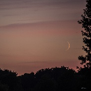 <font class="tempImageTitleThumbText">NLC And Moon Venus</font><br>P-M Hedén<br>Jul 16 9:33am<br>Färnebofjärdens nationalpark 