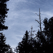 <font class="tempImageTitleThumbText">NLC</font><br>P-M Hedén<br>Jun 4 10:28pm<br>Vallentuna Sweden