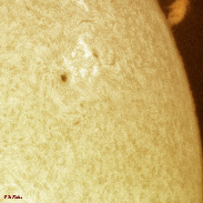 <font class="tempImageTitleThumbText">Great Prominence</font><br>P-M Hedén<br>Apr 23 2:26pm<br>Vallentuna Sweden