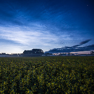 <font class="tempImageTitleThumbText">Strong Noctilucent Clouds</font><br>P-M Hedén<br>Jul 9 9:15am<br>Vallentuna Sweden