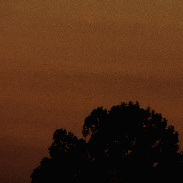 <font class="tempImageTitleThumbText">Comet Tsuchinshan-ATLAS </font><br>PAOLO PALMA<br>Oct 11 7:22pm<br>Rome