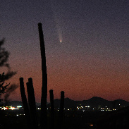 <font class="tempImageTitleThumbText">COMET TSUCHINSHAN-ATLAS</font><br>PAUL D. MALEY<br>Oct 13 2:12am<br>Carefree, Arizona