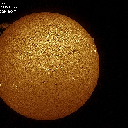 <font class="tempImageTitleThumbText">Solar Prominences</font><br>Paco Bellido<br>Mar 27 1:29pm<br>Cordoba, Spain