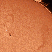<font class="tempImageTitleThumbText">Active Sun Spots, Flares, Proms</font><br>Pat P.<br>Nov 13 3:51am<br>Pittsburgh, PA USA