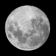 <font class="tempImageTitleThumbText">Wolf Full Moon</font><br>Patricio Leon<br>Jan 3 2:49pm<br>Santiago, Chile
