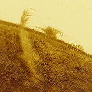 <font class="tempImageTitleThumbText">Filaprom</font><br>Paul Andrew<br>Nov 1 10:22am<br>Two filaproms (part prominence,