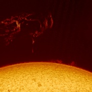 <font class="tempImageTitleThumbText">Large Prominence</font><br>Paul Stewart<br>Jan 31 9:48am<br>Timaru. New Zealand