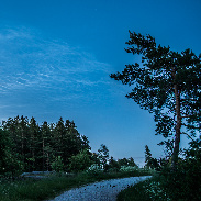 <font class="tempImageTitleThumbText">Noctilucent Clouds</font><br>Pentti Arpalahti<br>Jun 16 12:02am<br>Helsinki, Finland