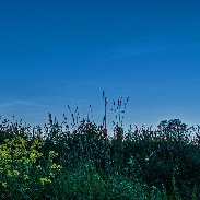 <font class="tempImageTitleThumbText">Noctilucent Clouds</font><br>Pentti Arpalahti<br>Jun 12 1:15am<br>Uppsala, Sweden