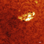 <font class="tempImageTitleThumbText">Solar Flare C</font><br>Pepe Manteca<br>Jul 20 10:28am<br>Begues