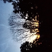 <font class="tempImageTitleThumbText">Noctilucent Clouds</font><br>Peter Hylén<br>Jul 12 1:23am<br>Stockholm,Sweden