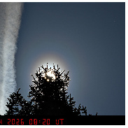 <font class="tempImageTitleThumbText">Birch Tree Pollen Corona</font><br>Peter Paul Hattinga Verschure<br>Apr 8 11:03am<br>Deventer, The Netherlands