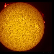 <font class="tempImageTitleThumbText">Sun And Large Solar Prominence</font><br>Philip Smith<br>May 15 2:59am<br>Manorville, NY, USA