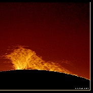 <font class="tempImageTitleThumbText">Large Solar Prominence</font><br>Philip Smith<br>Apr 23 12:30pm<br>Manorville, NY, USA