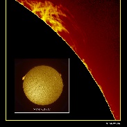 <font class="tempImageTitleThumbText">Sun With Large Solar Prominences</font><br>Philip Smith<br>Apr 23 1:41pm<br>Manorville, NY, USA