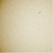 <font class="tempImageTitleThumbText">Transit Of Mercury</font><br>Philippe Van den Doorn<br>May 9 4:53pm<br>Rixensart, Belgium