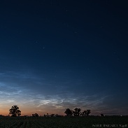 <font class="tempImageTitleThumbText">NLC</font><br>Piotr Potępa<br>Jun 23 9:23am<br>Piwnice near Torun, Poland