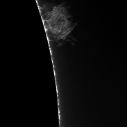 <font class="tempImageTitleThumbText">Prominence </font><br>Randy Shivak<br>Mar 13 7:03pm<br>Cape Coral,FL