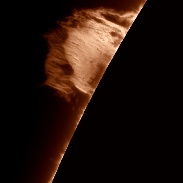 <font class="tempImageTitleThumbText">Solar Prominence</font><br>Randy Shivak<br>Nov 12 12:51am<br>Estero, Florida  USA