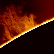 <font class="tempImageTitleThumbText">Large Prominence</font><br>Randy Shivak<br>Mar 16 5:05pm<br>Cape Coral, Florida