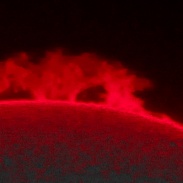 <font class="tempImageTitleThumbText">Hedgerow Prominence</font><br>Richard Frederick<br>Mar 27 7:13am<br>Tacoma, WA
