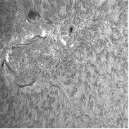<font class="tempImageTitleThumbText">Active Region 2373, And Prominence</font><br>Richard Schmidt<br>Jun 30 7:51pm<br>Washington, DC