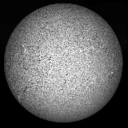 <font class="tempImageTitleThumbText">Sun In H-alpha - Whole Disk, Prominences</font><br>Richard Schmidt<br>May 19 3:43am<br>Burleith Observatory
Washingto