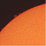 <font class="tempImageTitleThumbText">Solar Prominences And AR2335</font><br>Richard Schmidt<br>May 2 3:33pm<br>Burleith Observatory
Washingto