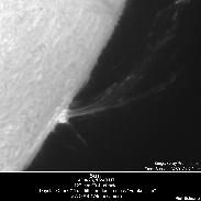 <font class="tempImageTitleThumbText">Sun In H-alpha (surge Prominence)</font><br>Richard Schrantz<br>Apr 19 3:08am<br>Nicholasville, KY USA