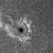<font class="tempImageTitleThumbText">Sun In H-alpha</font><br>Richard Schrantz<br>Jun 4 2:19am<br>Nicholasville, Kentucky, USA