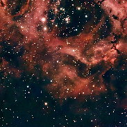 <font class="tempImageTitleThumbText">NGC 2244 Satellite Cluster</font><br>Richard Sears<br>Apr 7 3:15pm<br>Ballico, California, USA