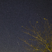 <font class="tempImageTitleThumbText">Comet Tsuchinshan-ATLAS</font><br>Richard Wood<br>Oct 19 2:06am<br>Dublin, Ohio