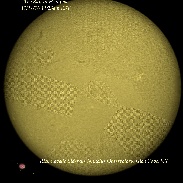<font class="tempImageTitleThumbText">Sun, Filaments And Prominences</font><br>Rick Cavello<br>Nov 21 3:05am<br>Glen Cove, NY, USA (Sidereus Nu