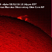 <font class="tempImageTitleThumbText">Sun With Prominences And  Filaments</font><br>Rick Cavello<br>Sep 13 3:21am<br>Glen Cove, NY, USA (Sidereus Nu