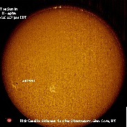 <font class="tempImageTitleThumbText">Sun, Filaments And ARs And Proms</font><br>Rick Cavello<br>Oct 6 6:35pm<br>Glen Cove, NY, USA (Sidereus Nu